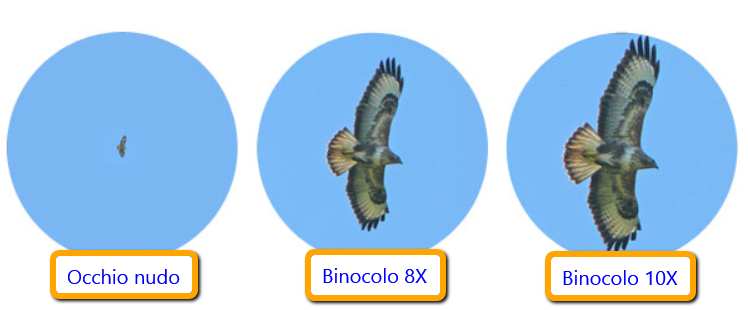 Ingrandimento_binocoli_8X_10X