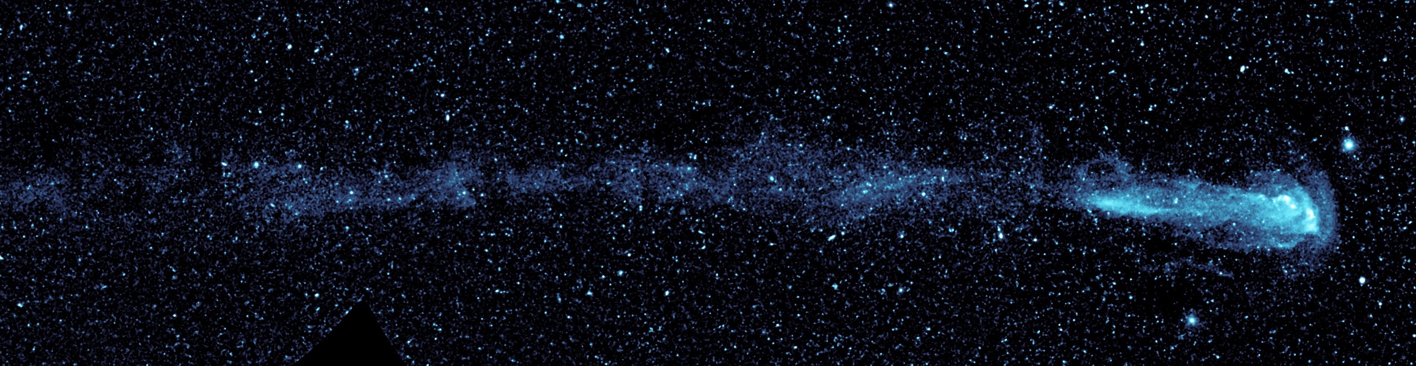 Coda di Mira (ultravioletto)